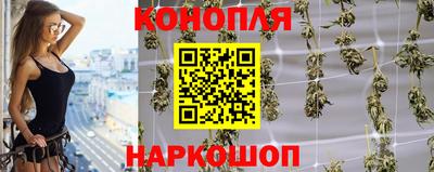 соль ск Будённовск